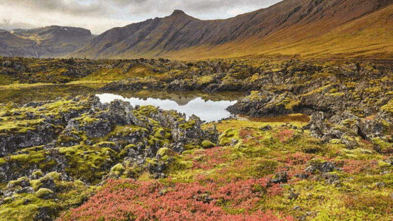 Snaefellsnes Peninsula Wonders: Private tour from Reykjavik - The Value of a Private Tour in Iceland