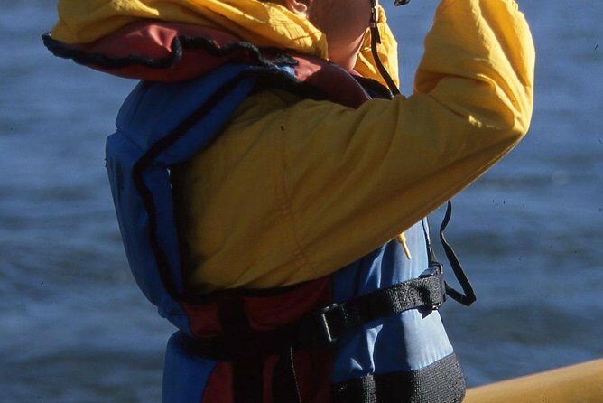 Snake River Scenic Float Trip - What Travelers Are Loving