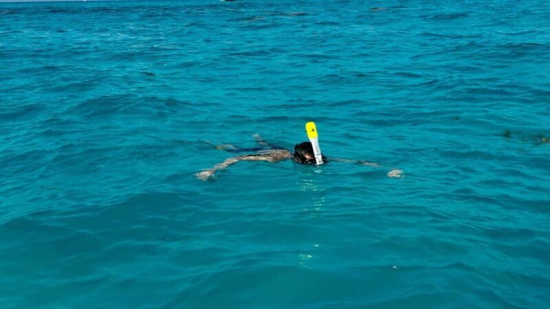 Snorkel Adventure for All Ages in Cancun 2.5 hrs - The Experience: What to Expect from a 2.5-Hour Cancun Snorkel Adventure