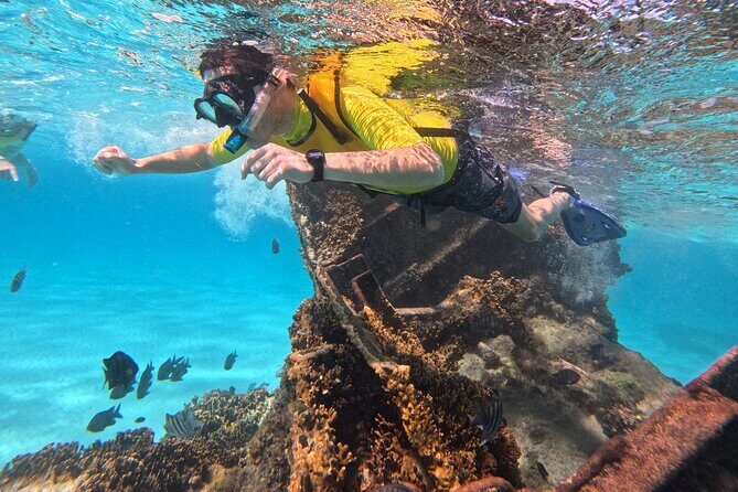 Snorkel Adventure in Cancun - An Honest Look at the Snorkel Adventure in Cancun