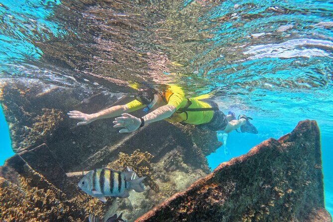 Snorkel Adventure in Cancun - Key Points
