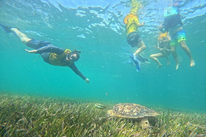 Snorkel Adventure in Cancun - Who Will Enjoy This Tour?