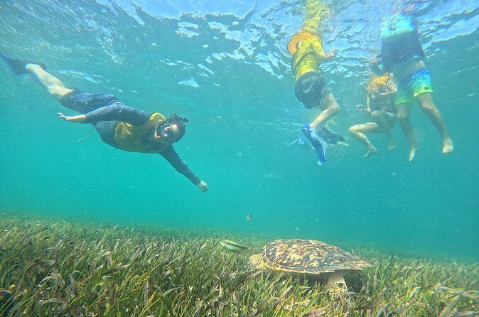 Snorkel Adventure in Cancun - The Sum Up