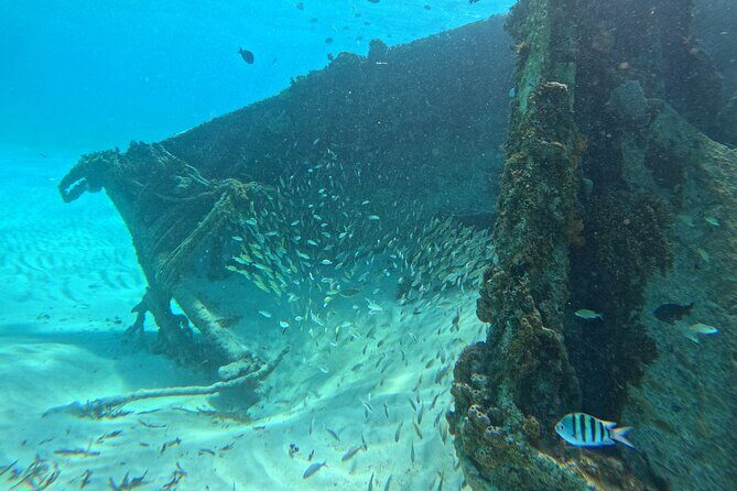 Snorkel Adventure in Cancun - FAQ