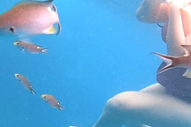 Snorkel Adventure in Marietas Islands or Punta Mita Reefs - The Sum Up: Is It Worth It?