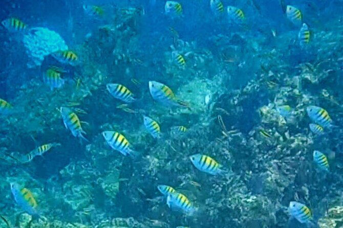 Snorkel Adventure in Marietas Islands or Punta Mita Reefs - FAQs