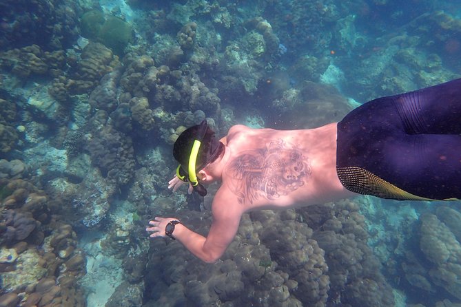 Snorkel Adventure Sea Tour to Koh Rok and Koh Haa From Koh Lanta - Customer Reviews Highlights