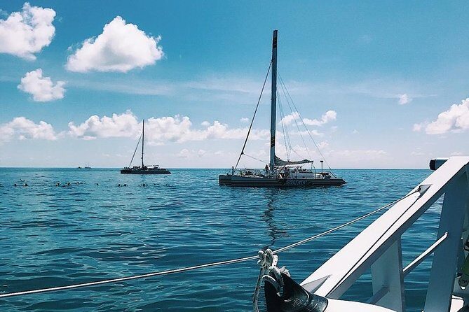 Snorkel adventure to Isla Mujeres by Catamaran. Open Bar and buffet included. - The Beach Club & Buffet Lunch