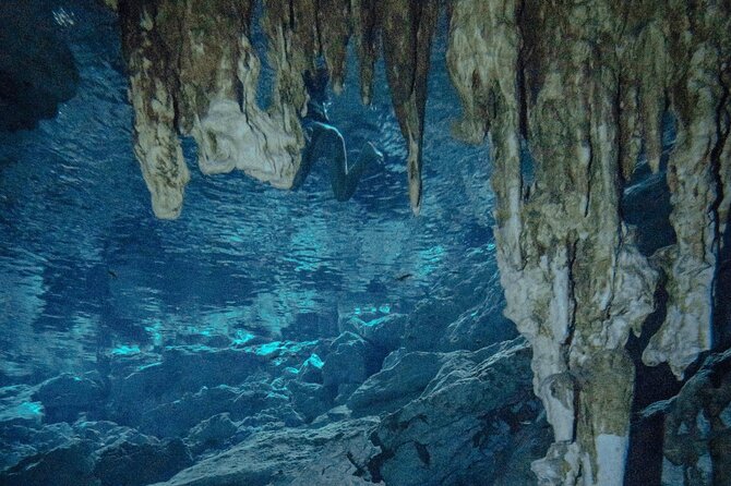 Snorkel Adventure Tour From Tulum - Small Group - All Inclusive - Additional Info