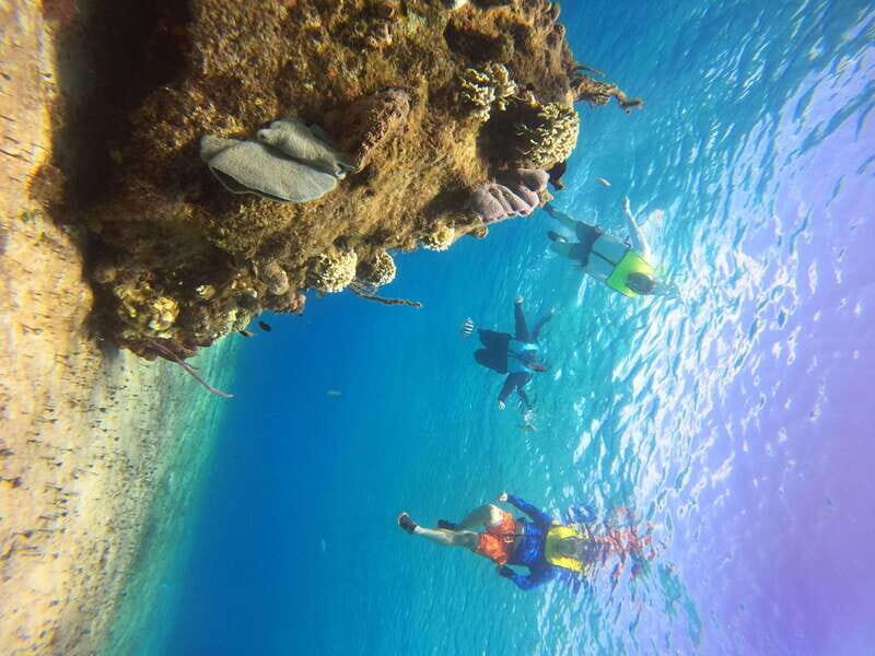 Snorkel along the coast with Chivis Del Mar. - What makes this tour special?