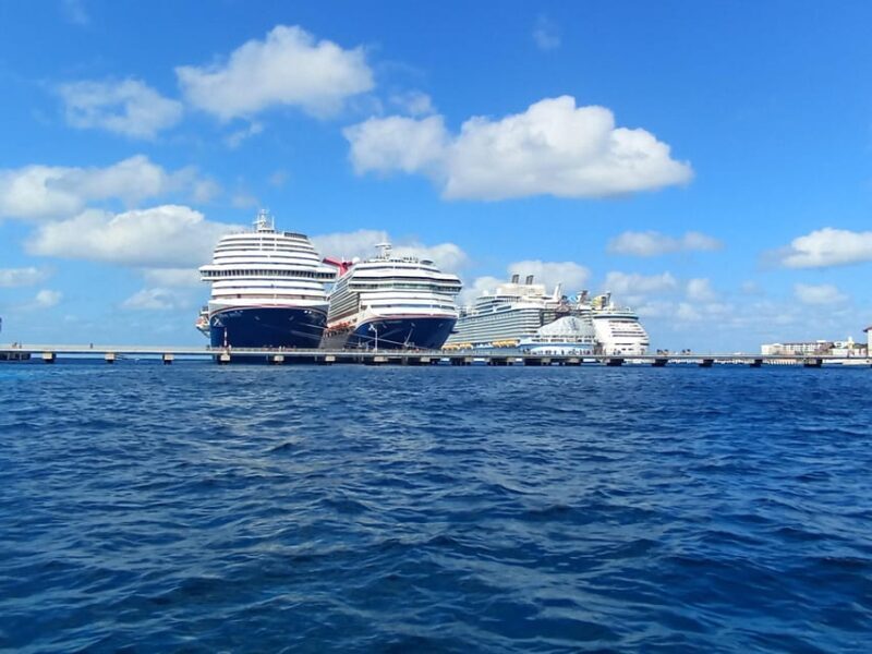 Snorkel along the coast with Chivis Del Mar. - Practical tips for participants