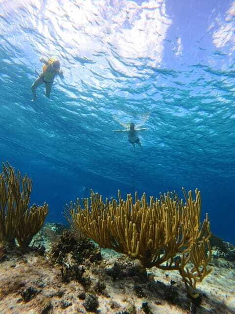 Snorkel along the coast with Chivis Del Mar. - Who is this tour best suited for?