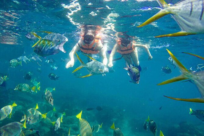 Snorkel and arch tour in los cabos - The Group Size and Logistics