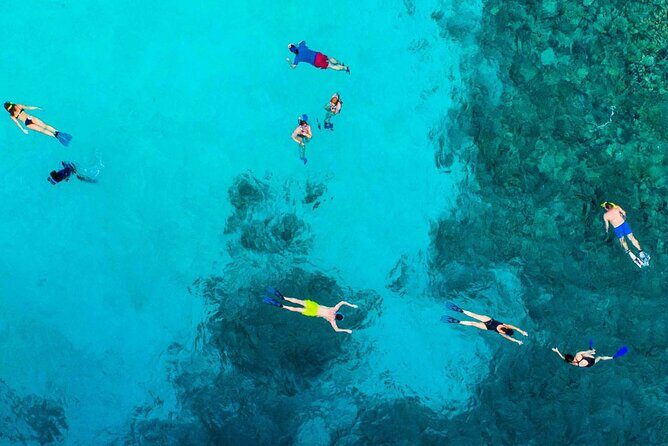 Snorkel and arch tour in los cabos - The Sum Up