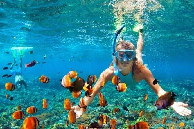 Snorkel and Private Tour in Montego Bay - Key Points