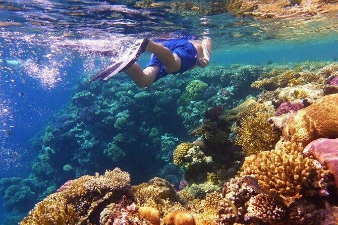 Snorkel and Private Tour in Montego Bay - Exploring the Montego Bay Snorkel and Cultural Tour
