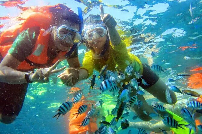 Snorkel and Private Tour in Montego Bay - FAQs