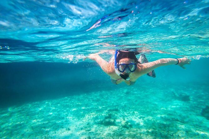 Snorkel and swim in Cozumel el Cielo Reef, Palancar and Colombia - A Closer Look at the Experience
