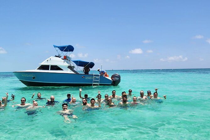 Snorkel and Swimming with Whale Shark in Cancun - The Itinerary in Detail