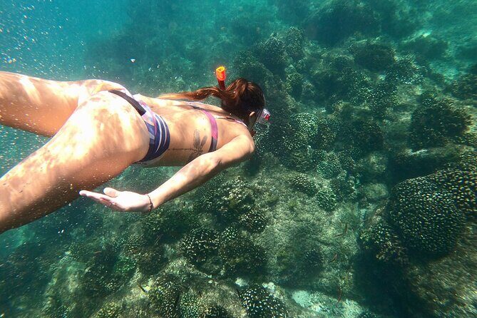 Snorkel and Whale Platinum Tour (Dec 15- Apr 15) - Whale Watching During Peak Season