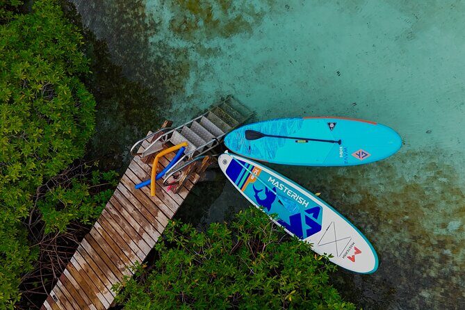 Snorkel Aruba's Vibrant Waters and Serene Mangroves Private Tour - Why This Tour Offers Good Value