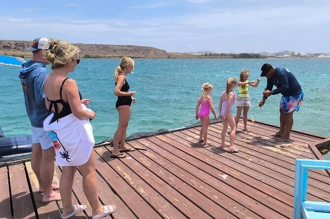 Snorkel Aruba's Vibrant Waters and Serene Mangroves Private Tour - Who Will Love This Tour?