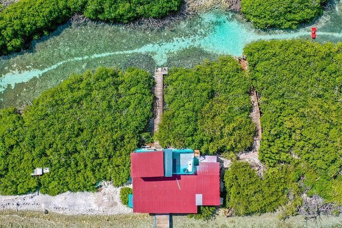 Snorkel Aruba's Vibrant Waters and Serene Mangroves Private Tour - FAQ