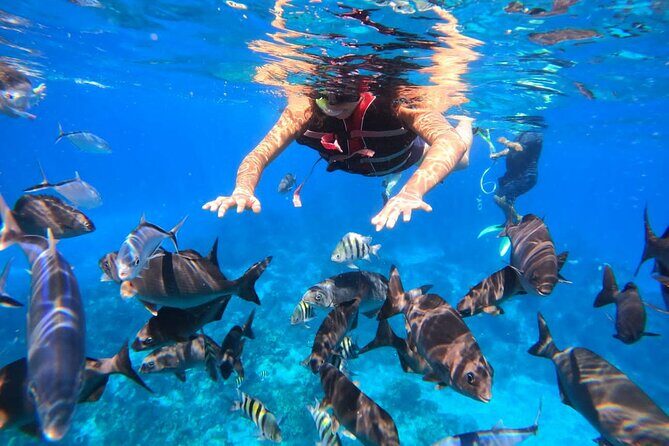 Snorkel at El Cielo in Cozumel with 2 more Reefs with Round Trip - The Sum Up: Is This Tour Right for You?