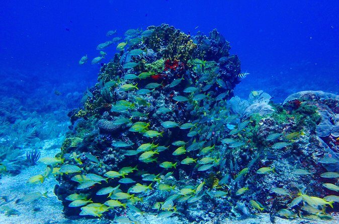 Snorkel at El Farito - The Lighthouse Reservation - FAQ