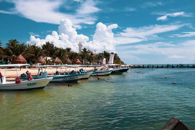 Snorkel at the beautiful Puerto Morelos Reef, Lunch & transport - Price and value analysis