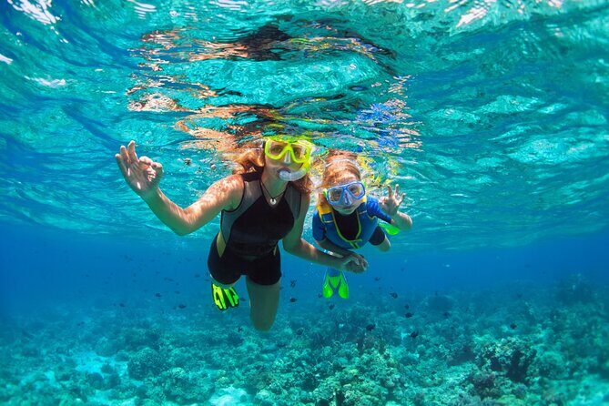 Snorkel at the beautiful Puerto Morelos Reef, Lunch & transport - FAQ