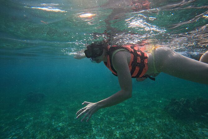 Snorkel at the Reef 2 HOURS Puerto Morelos National park - A Final Word