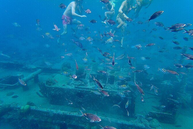 Snorkel boat trip: Sunken ship, old dutch fort & spanish bay - The Experience and Group Dynamics