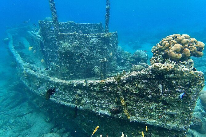 Snorkel boat trip: Sunken ship, old dutch fort & spanish bay - The Sum Up