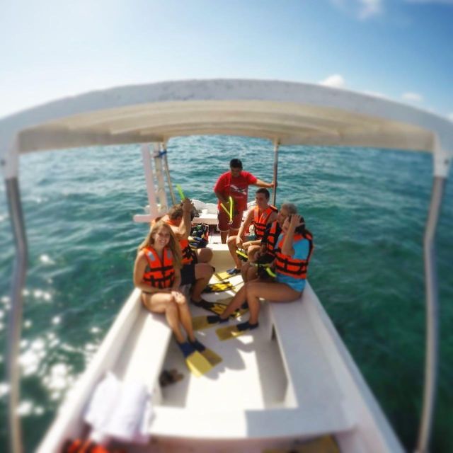 Snorkel + Cenotes Day With Transportation - Key Points
