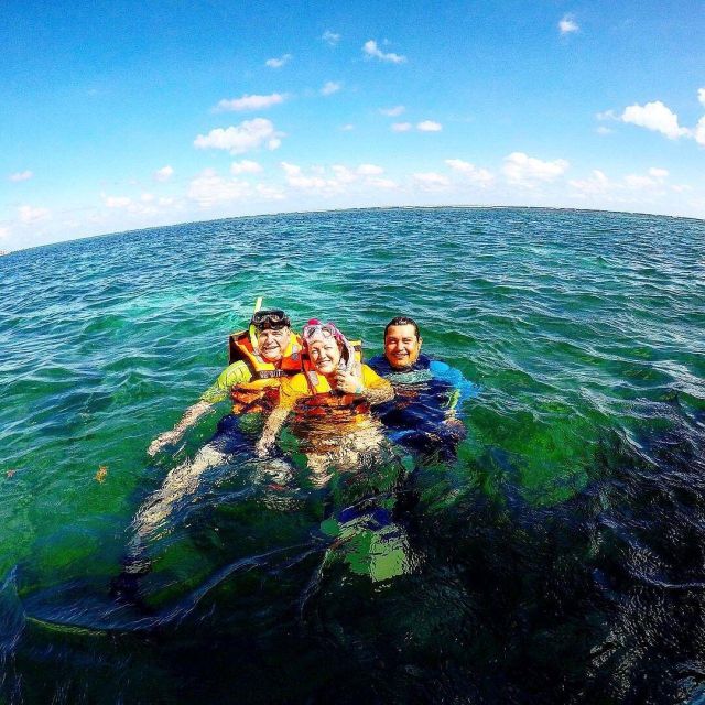 Snorkel + Cenotes Day With Transportation - Included in the Tour