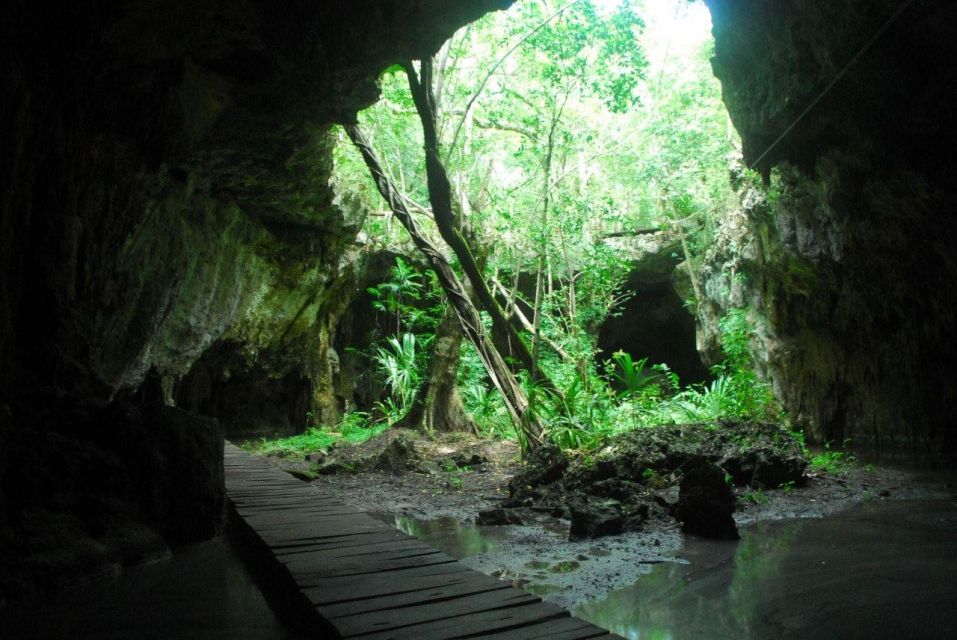 Snorkel + Cenotes Day With Transportation - Duration and Pricing