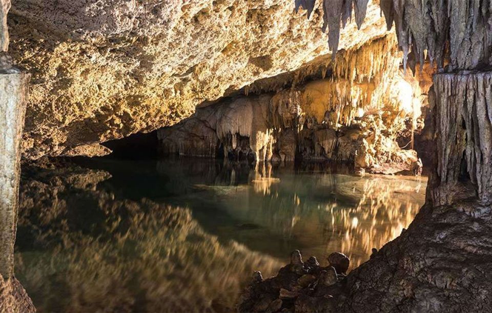Snorkel Discovery - Turtles & Cenotes - Transportation