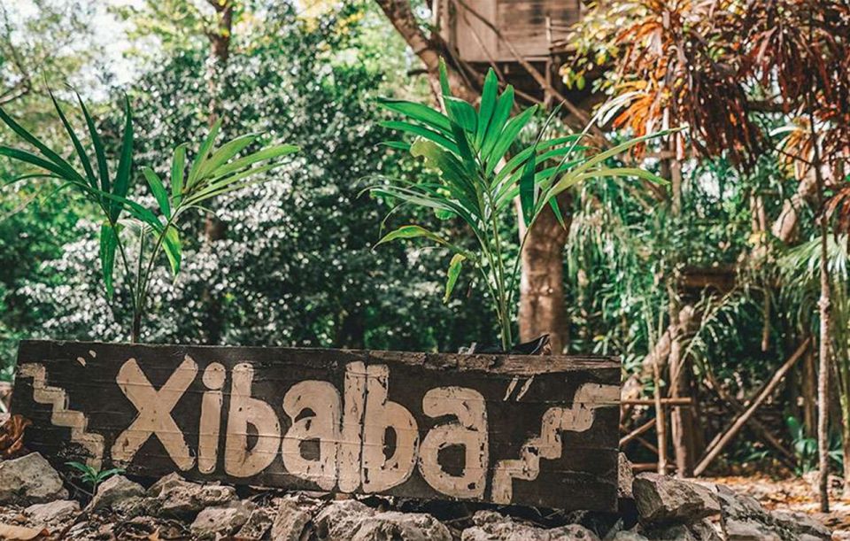 Snorkel Discovery - Turtles & Cenotes - Guided Tour