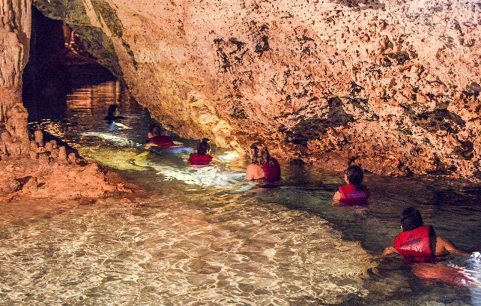 Snorkel Discovery - Turtles & Cenotes - Snorkel Experience