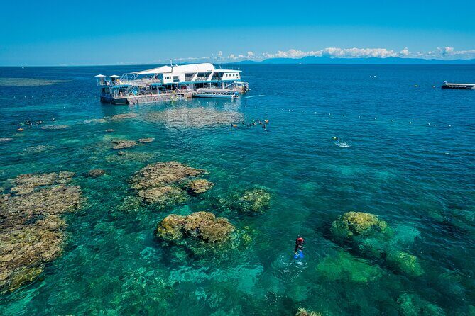 Snorkel & Dive the Reef: Sustainable, Scientific & Cultural Tour - The Itinerary Breakdown