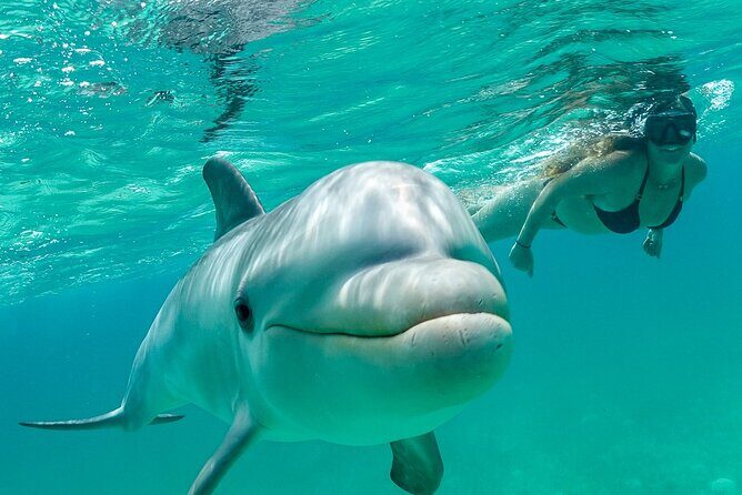 Snorkel Eco Tour - Key Points