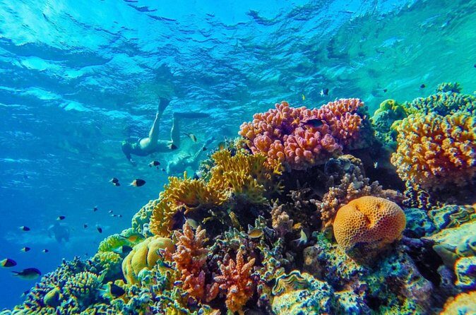 Snorkel Experience in Bonaire - FAQ