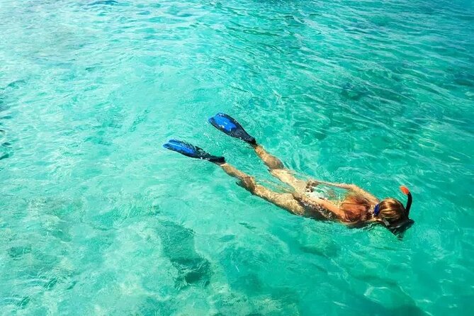 Snorkel Fort Lauderdale Jean Cousteaus Reef and Snorkel Trail - About Your Stay