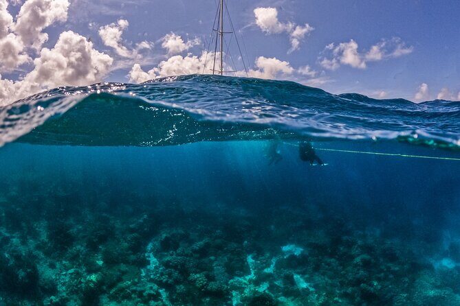 Snorkel Hopping Full Day Trip with F&B - Who Is This Tour Best For?