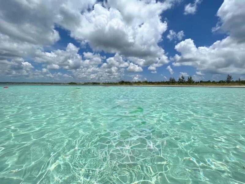 Snorkel in Cozumel and visit to El Cielo - An Overview of the Experience