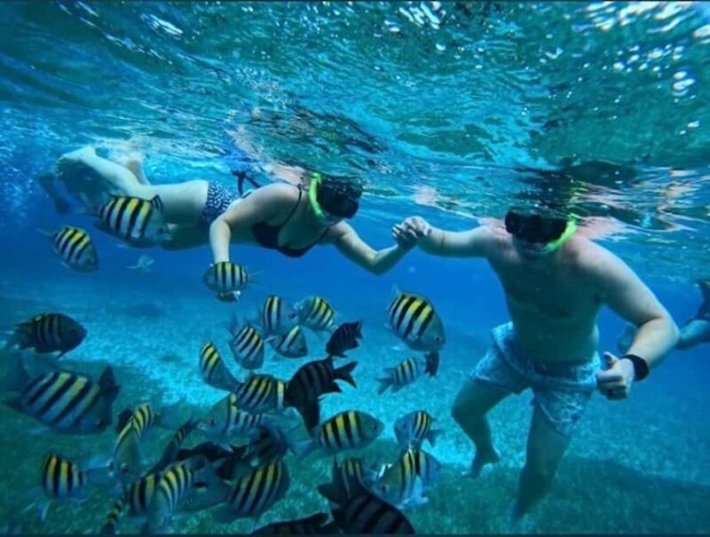 Snorkel in Cozumel and visit to El Cielo - Why Choose This Tour?