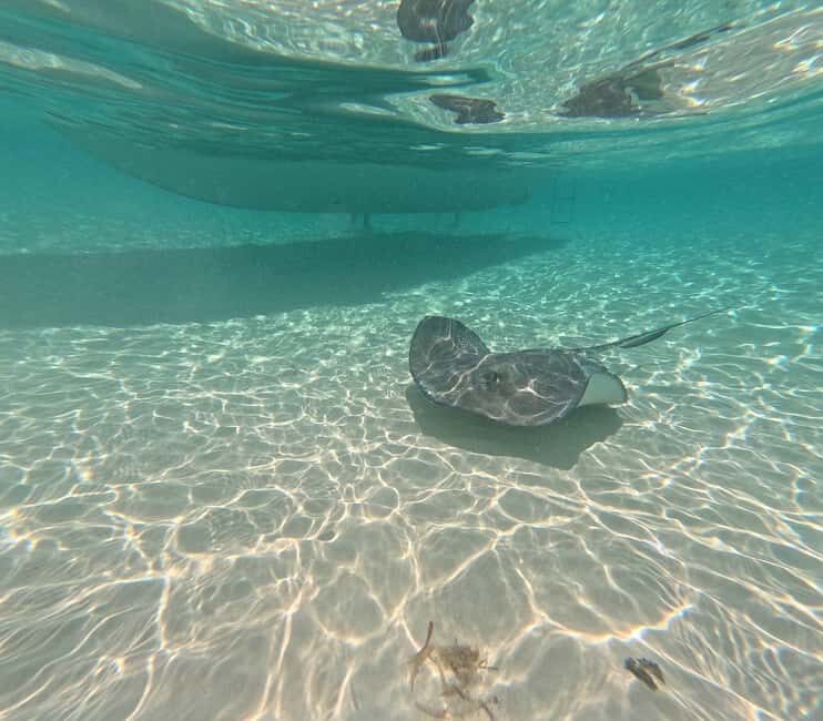 Snorkel in Cozumel and visit to El Cielo - Who Will Love This Tour?
