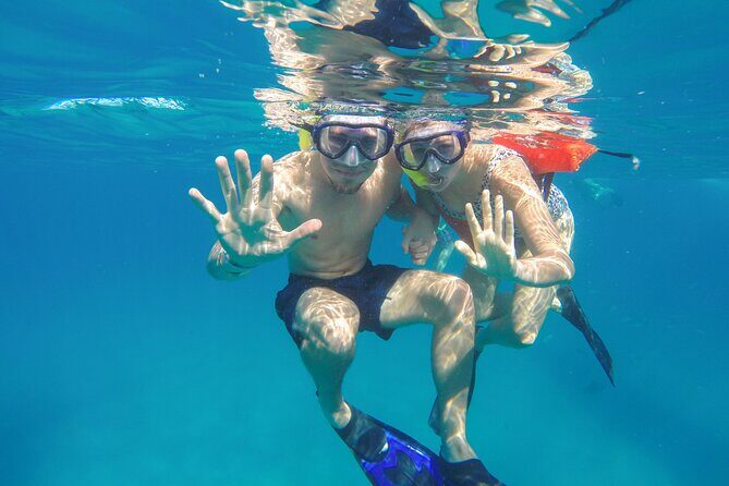 Snorkel in Luxury Sailing Boat + Food and Premium drink! - Authentic Experiences & Guest Feedback