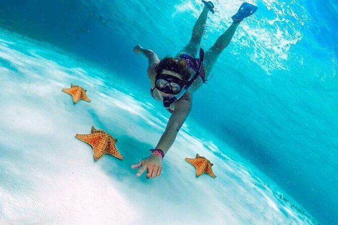 Snorkel in Paradise Cozumel El Cielito Palancar Reef Colombia - Final Thoughts: Who Is This Tour Best For?